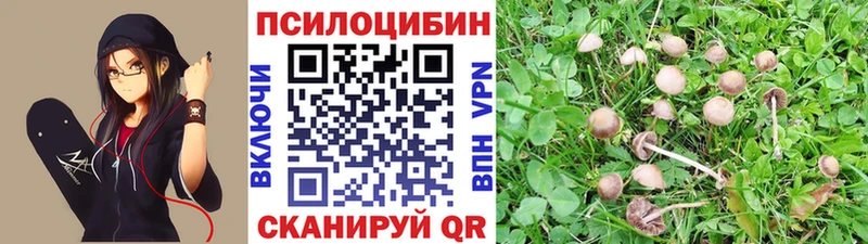 где купить наркотик  Старый Крым  Галлюциногенные грибы MAGIC MUSHROOMS 